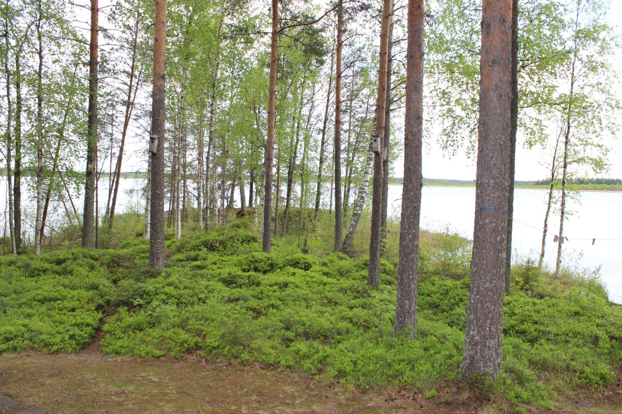 Lomamokkila Cottages Savonlinna Chambre photo